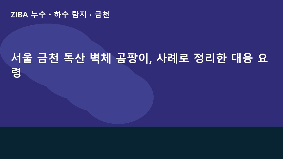 서울 금천 독산 벽체 곰팡이, 사례로 정리한 대응 요령
