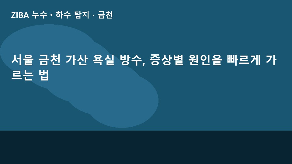 서울 금천 가산 욕실 방수, 증상별 원인을 빠르게 가르는 법