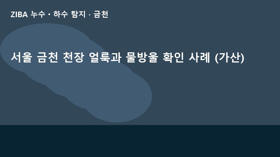 서울 금천 천장 얼룩과 물방울 확인 사례 (가산)
