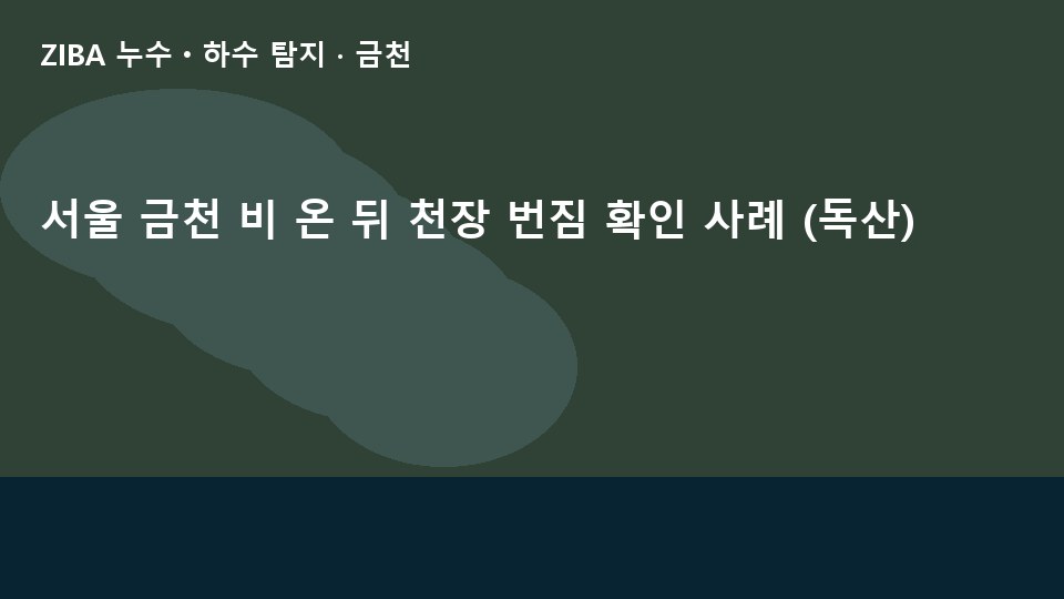 서울 금천 비 온 뒤 천장 번짐 확인 사례 (독산)