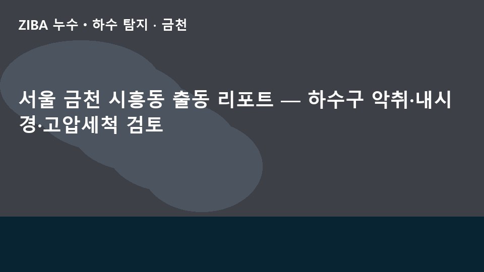 서울 금천 시흥동 출동 리포트 — 하수구 악취·내시경·고압세척 검토