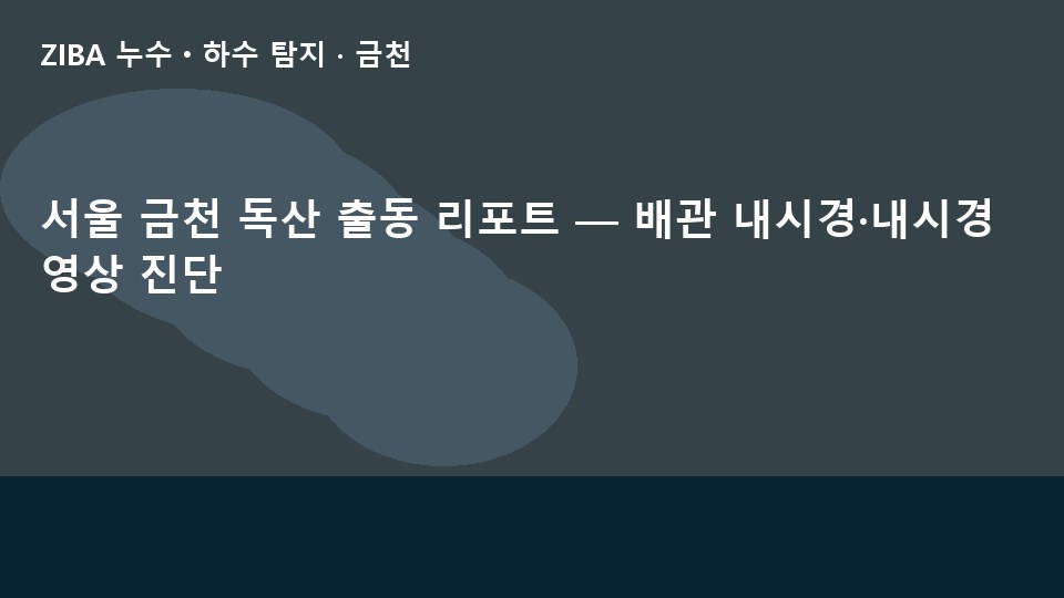 서울 금천 독산 출동 리포트 — 배관 내시경·내시경 영상 진단