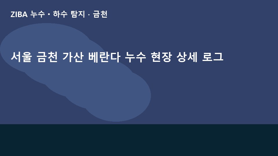 서울 금천 가산 베란다 누수 현장 상세 로그