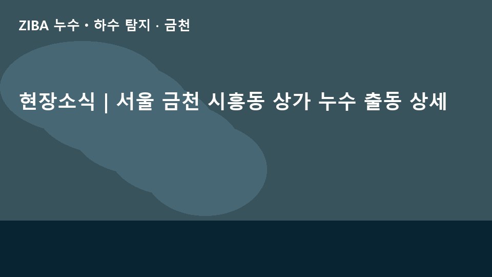 현장소식 | 서울 금천 시흥동 상가 누수 출동 상세