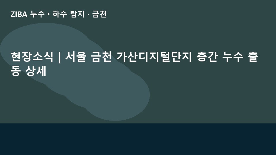 현장소식 | 서울 금천 가산디지털단지 층간 누수 출동 상세